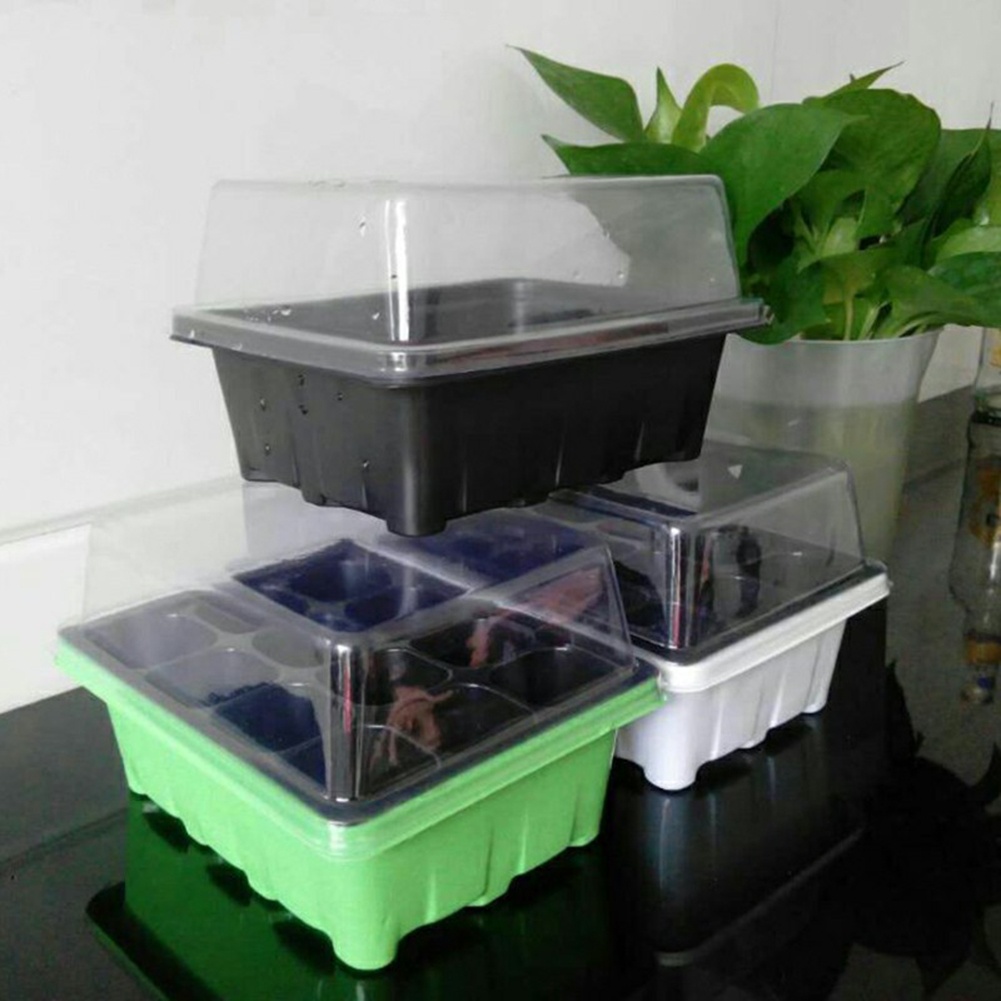 Seed Starter Kit 12 Cells Seed – Bonsai Garden Grow Kit recenzja i cena