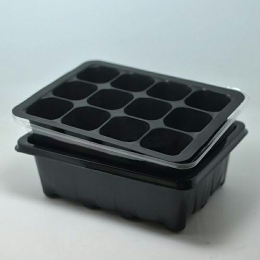 Seed Starter Kit 12 Cells Seed – Bonsai Garden Grow Kit recenzja i cena