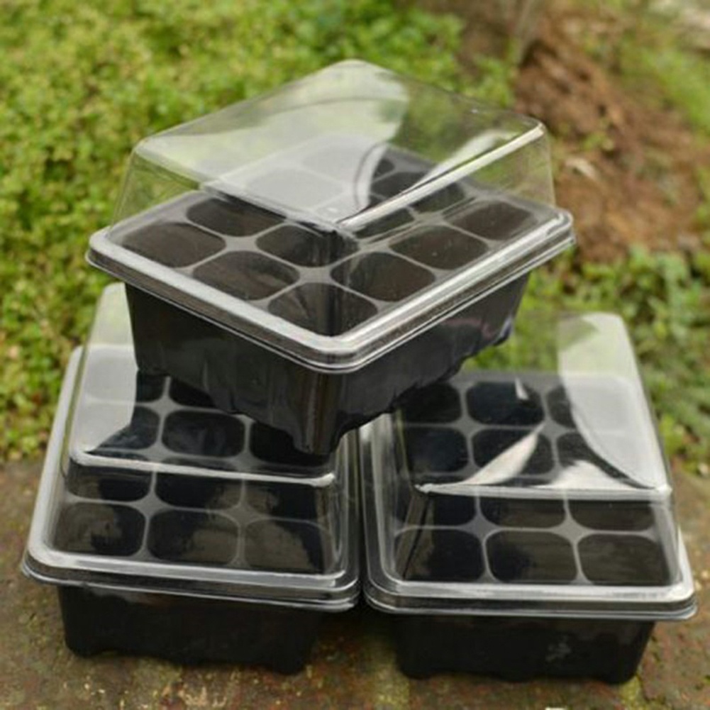 Seed Starter Kit 12 Cells Seed – Bonsai Garden Grow Kit recenzja i cena