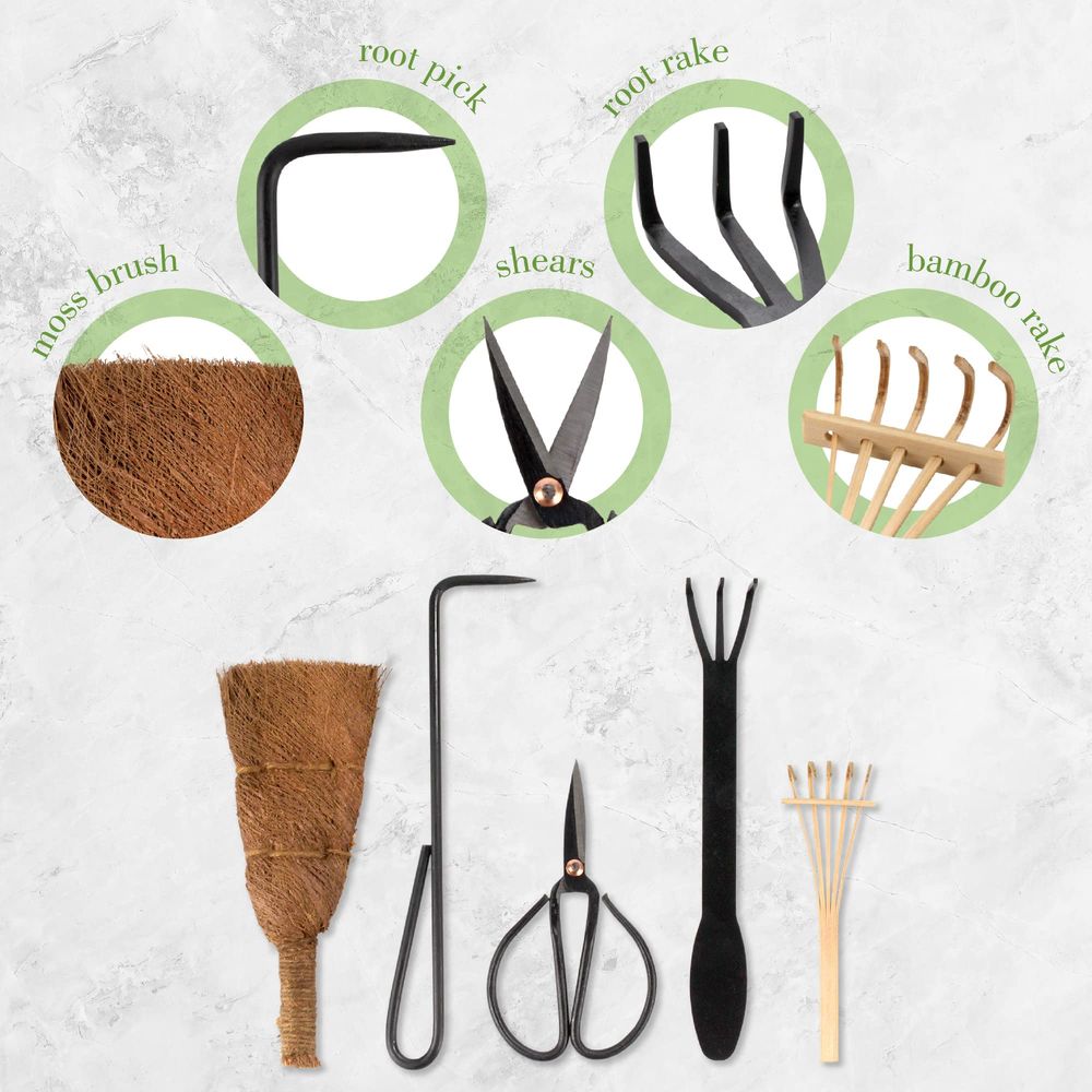 Bonsai Tool Kit 5pc Basic Care – Bonsai Tool Set recenzja i cena