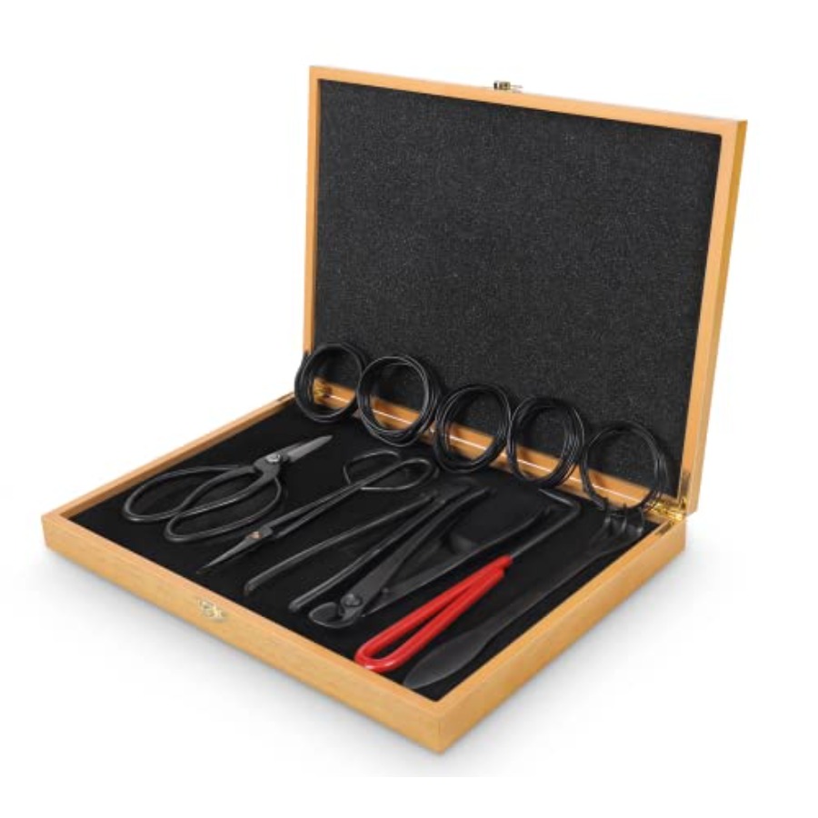 Bonsai Tools Set with Wood Box – Bonsai Tool Set recenzja i cena