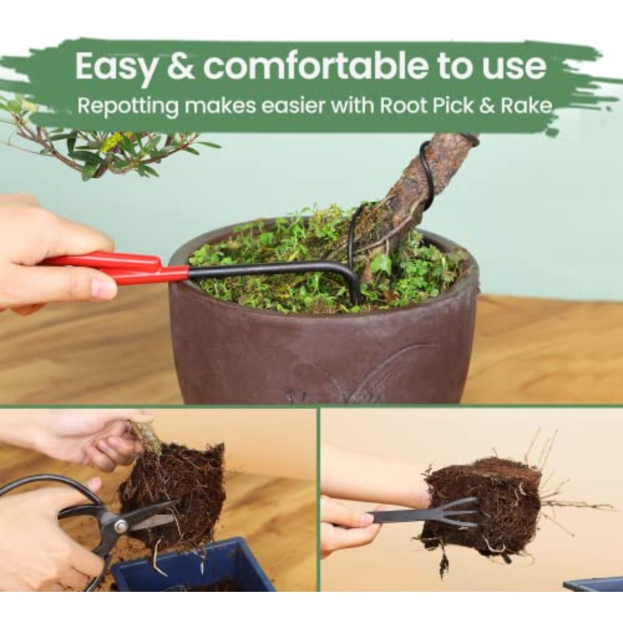 Bonsai Tools Set with Wood Box – Bonsai Tool Set recenzja i cena