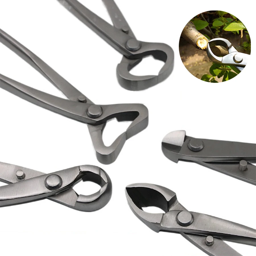 1pcs Stainless Steel Bonsai Pr – Bonsai Tool Set recenzja i cena
