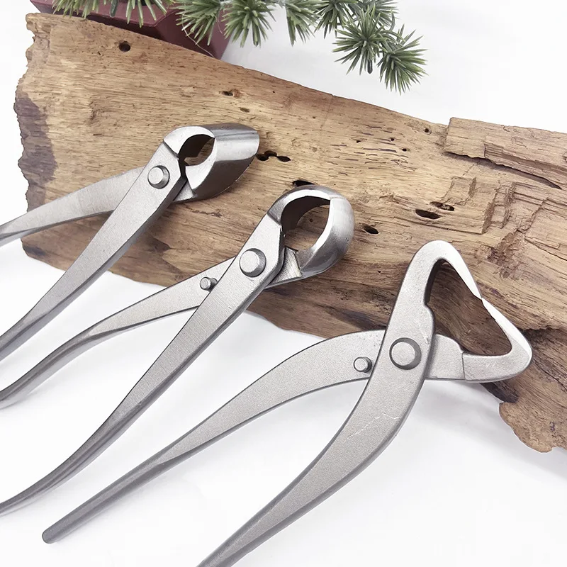 1pcs Stainless Steel Bonsai Pr – Bonsai Tool Set recenzja i cena