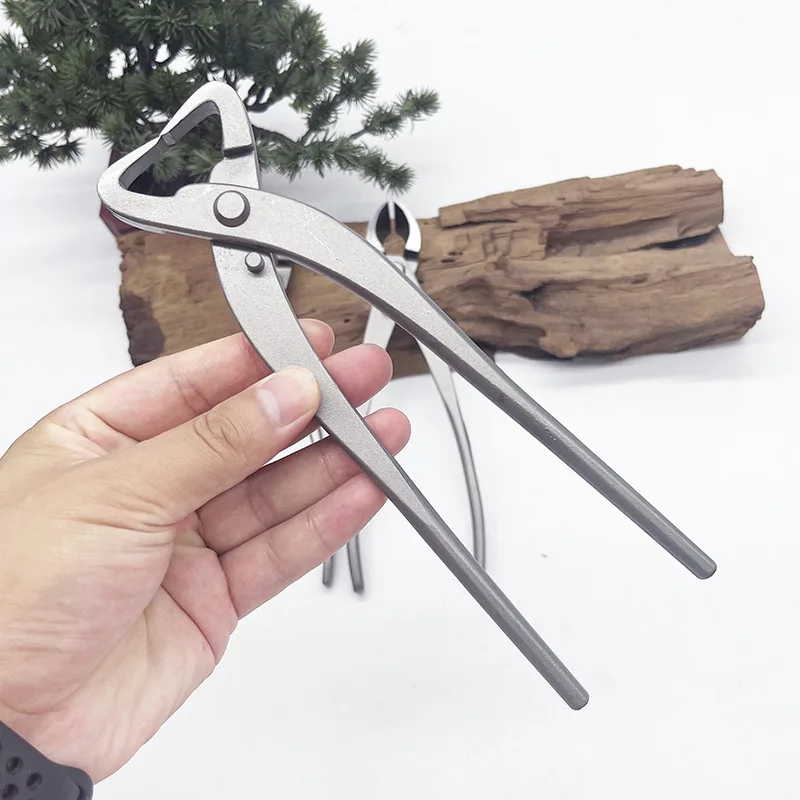 1pcs Stainless Steel Bonsai Pr – Bonsai Tool Set recenzja i cena