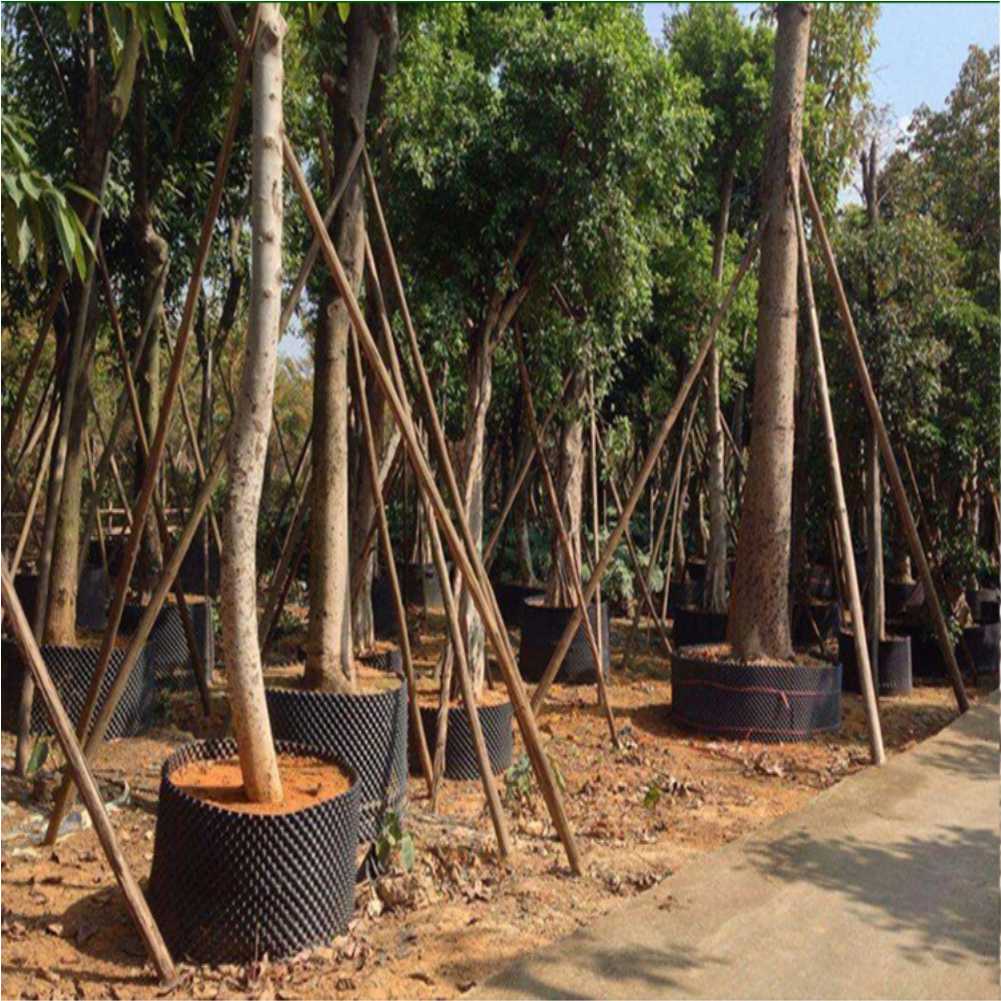 Grow Container Garden Tree Bon – Bonsai Tool Set recenzja i cena
