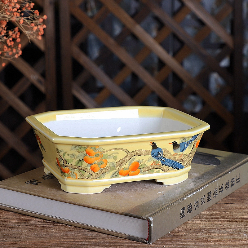 Porcelain Rectangle Bonsai Pot – Bonsai Garden Chinese Garden recenzja i cena