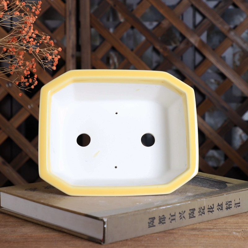 Porcelain Rectangle Bonsai Pot – Bonsai Garden Chinese Garden recenzja i cena