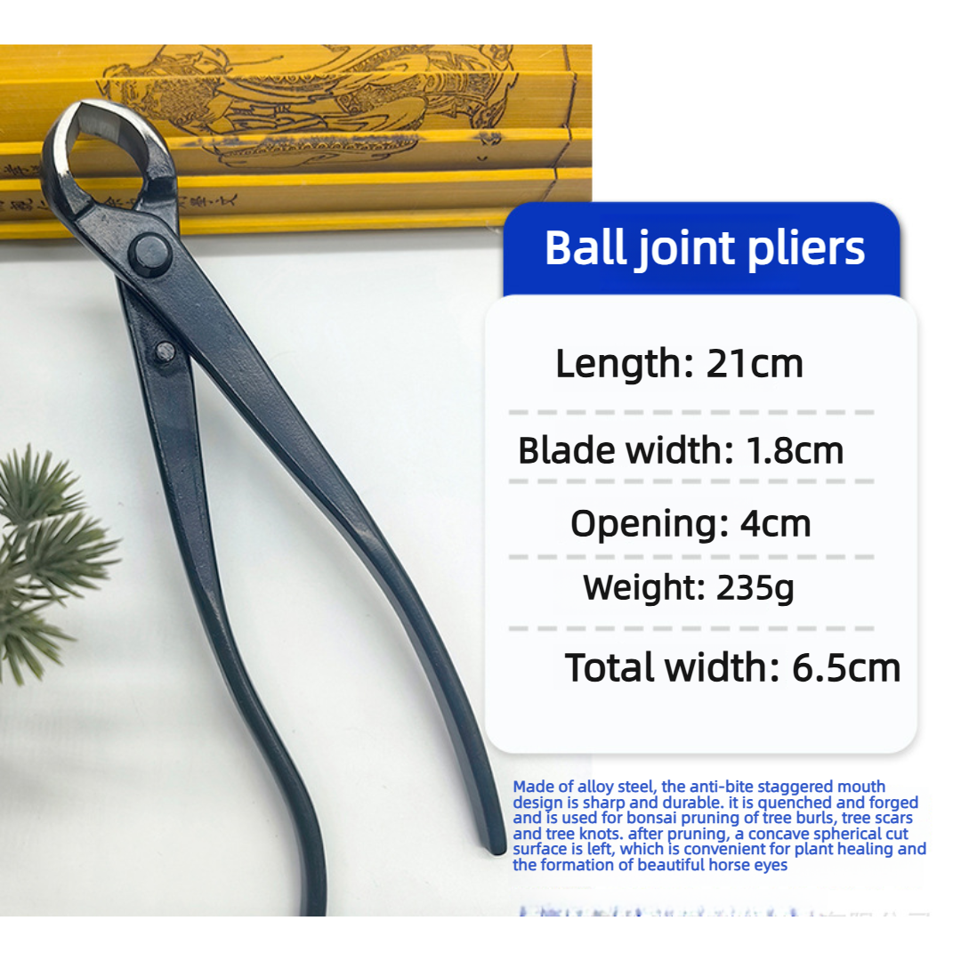 Good Quality Grade Bonsai Tool – Bonsai Tool Set recenzja i cena