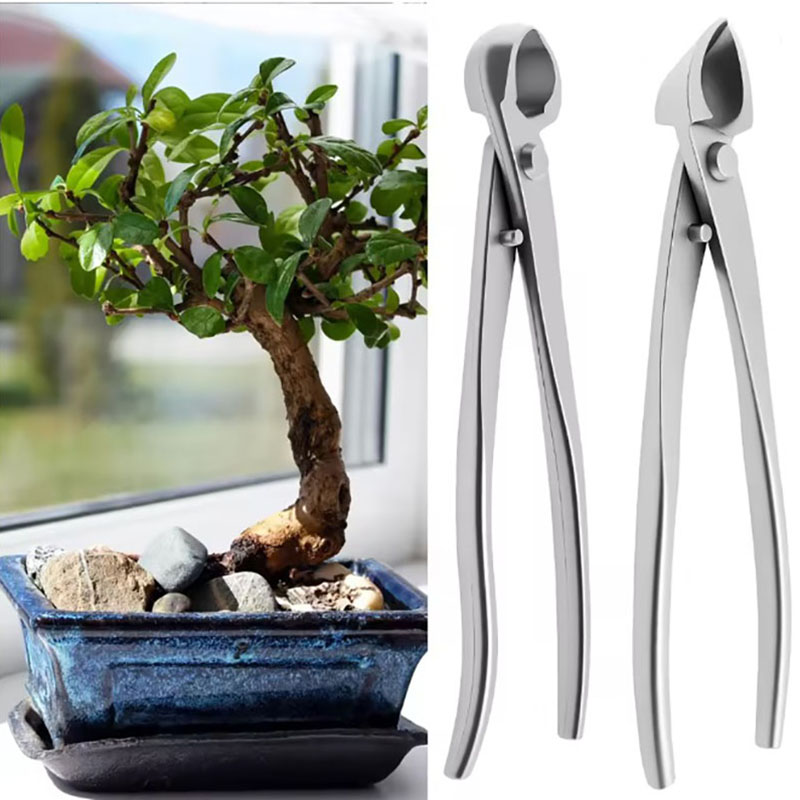 2pcs 210mm Stainless Steel Bon – Bonsai Tool Set recenzja i cena