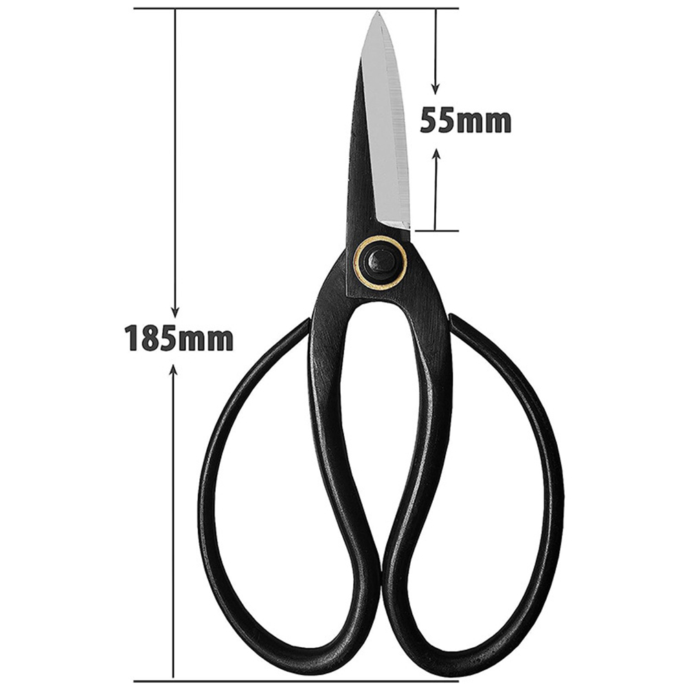 Professional Bonsai Scissors T – Bonsai Tool Set recenzja i cena