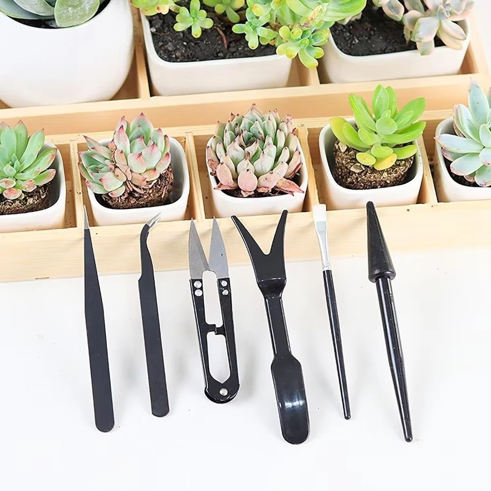 Stainless Steel Garden Planter – Bonsai Tool Set recenzja i cena