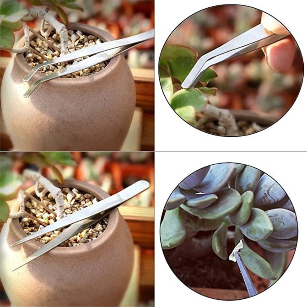 Stainless Steel Garden Planter – Bonsai Tool Set recenzja i cena