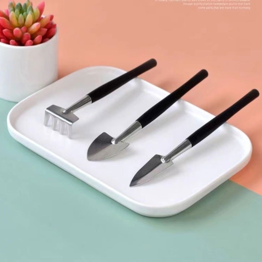 Stainless Steel Garden Planter – Bonsai Tool Set recenzja i cena