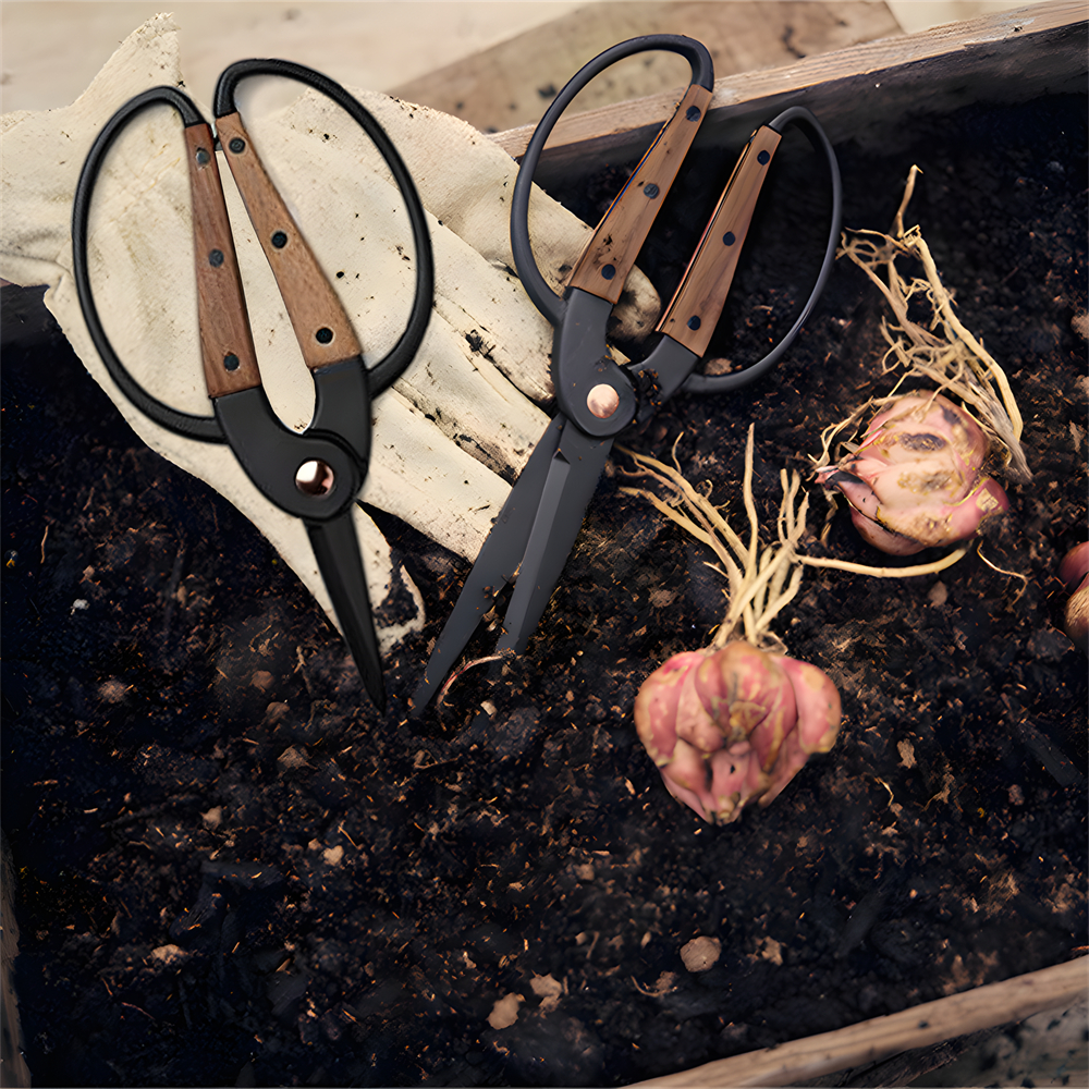 1PC，Professional Grade Root Pr – Bonsai Tool Set recenzja i cena