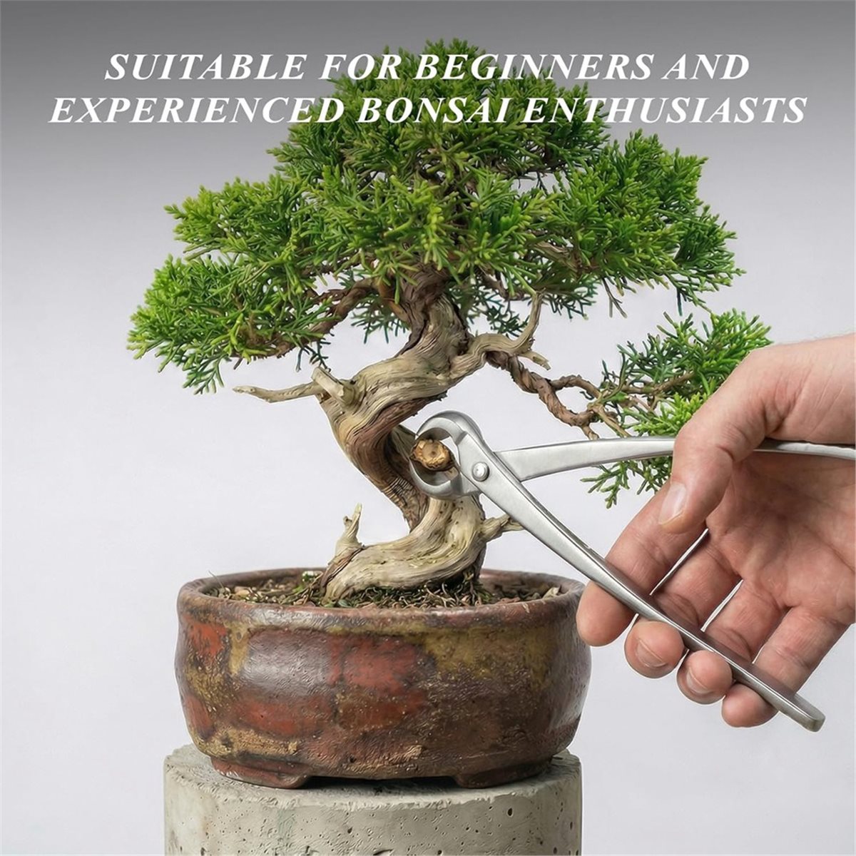 AWAH Bonsai Tools Set- High-Ca – Bonsai Tool Set recenzja i cena