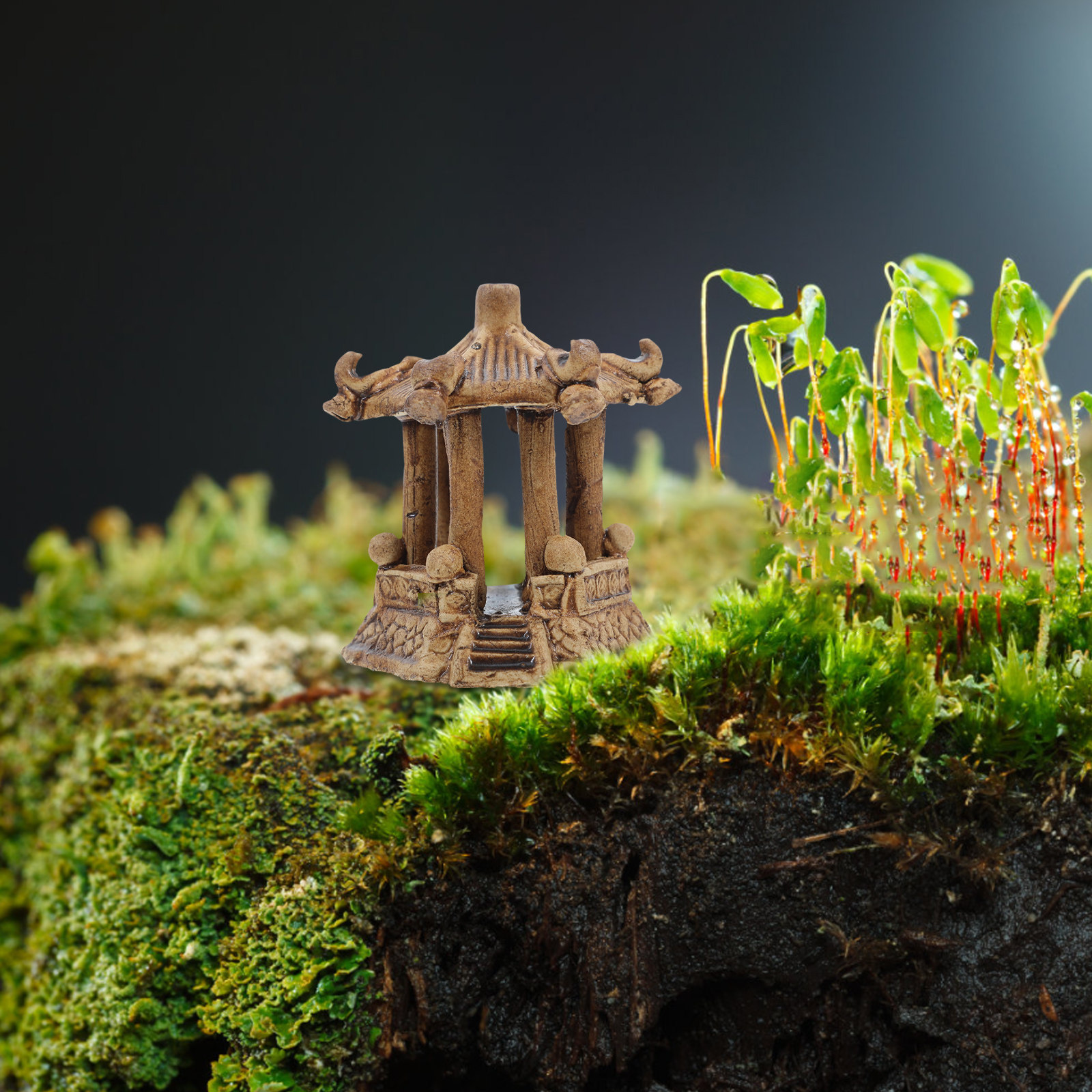 Miniature Hexagonal Pavilion C – Bonsai Gardener recenzja i cena