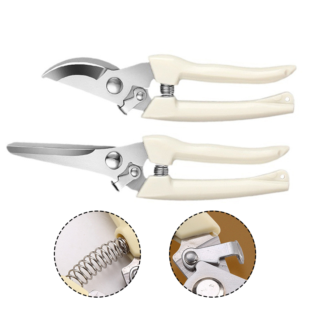 Pruner Shears Hand Tools Bonsa – Bonsai Tool Set recenzja i cena