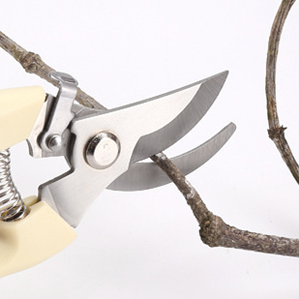 Pruner Shears Hand Tools Bonsa – Bonsai Tool Set recenzja i cena