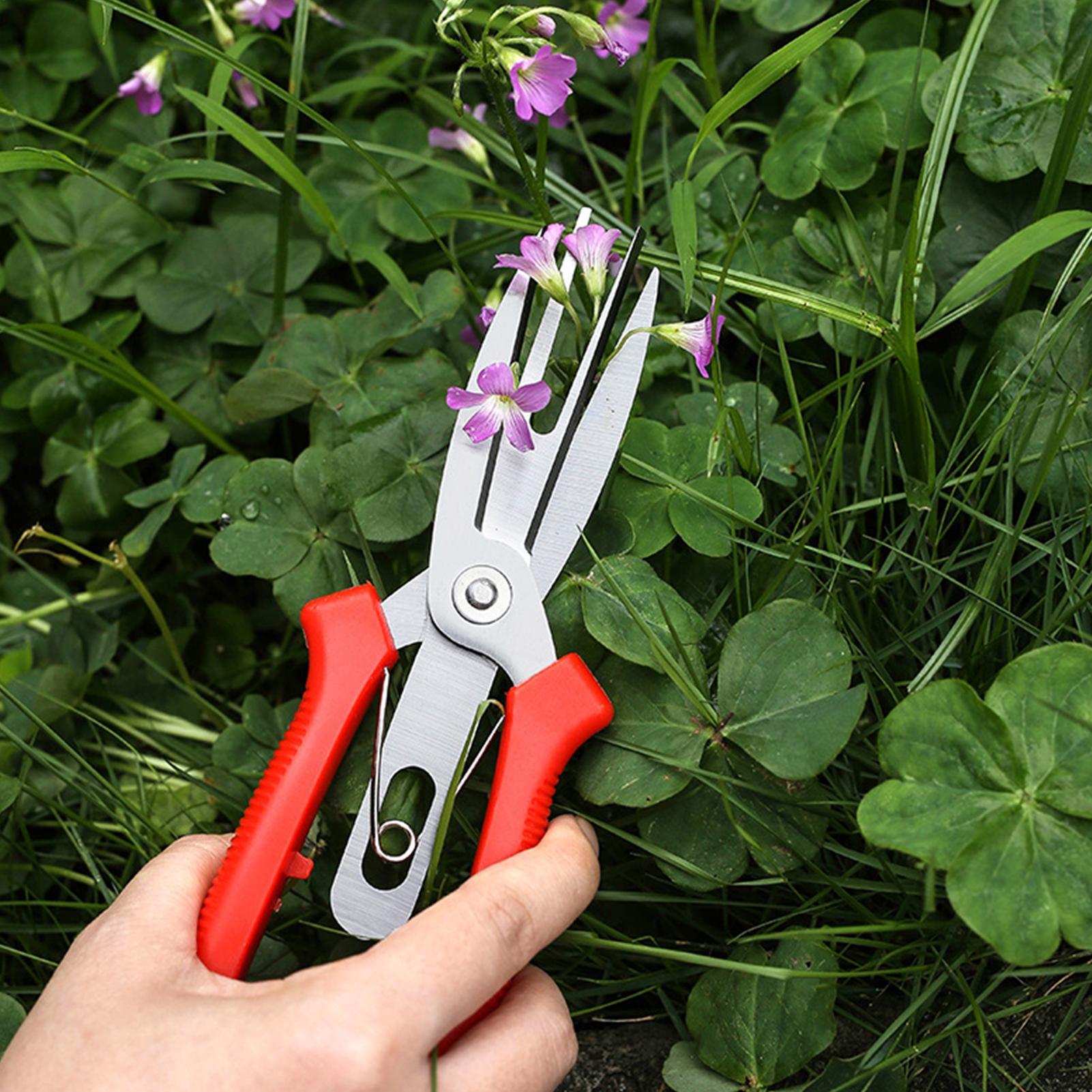 Garden Shears Stainless Steel  – Bonsai Gardener recenzja i cena