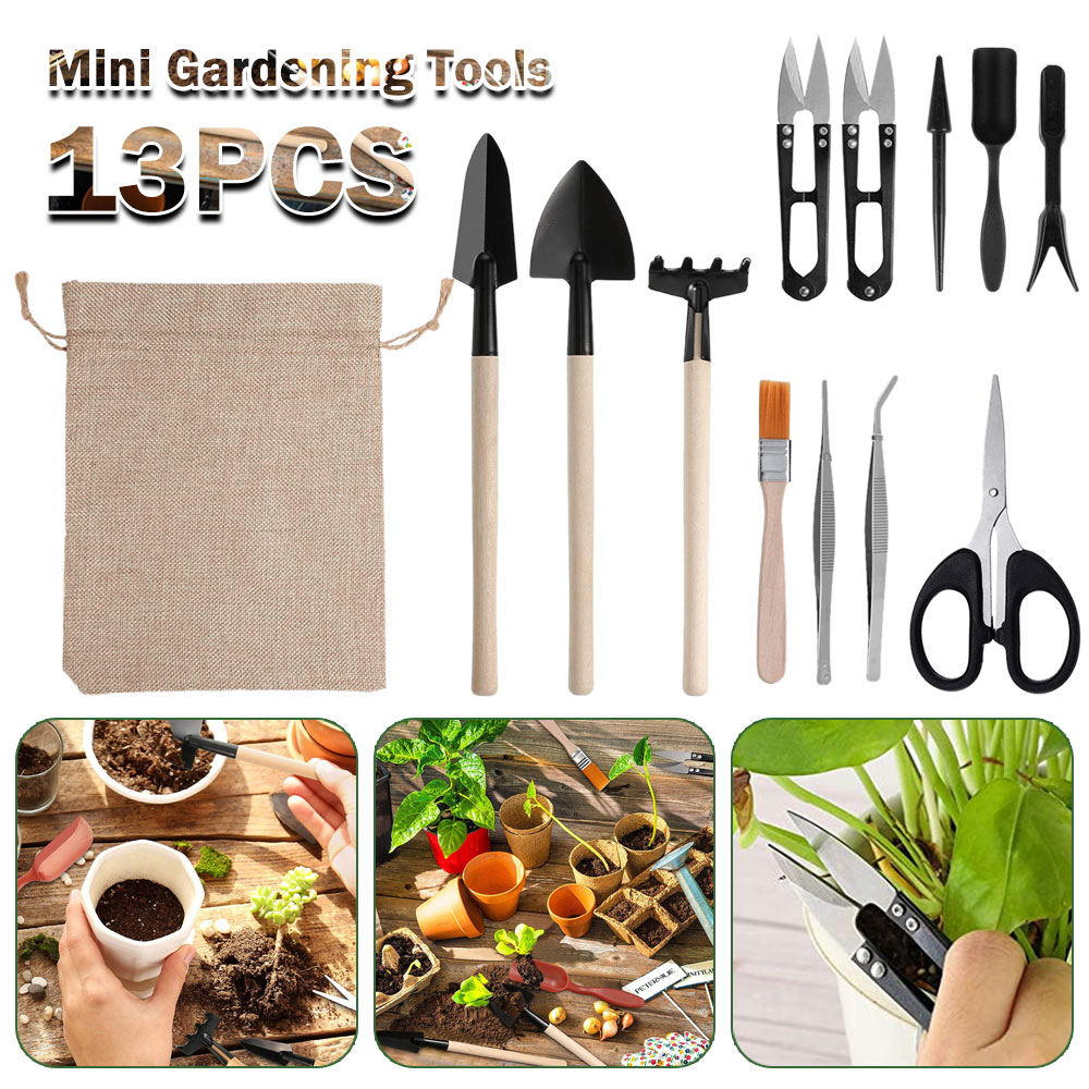 Succulent Plants Tools Mini Ga – Bonsai Tool Set recenzja i cena
