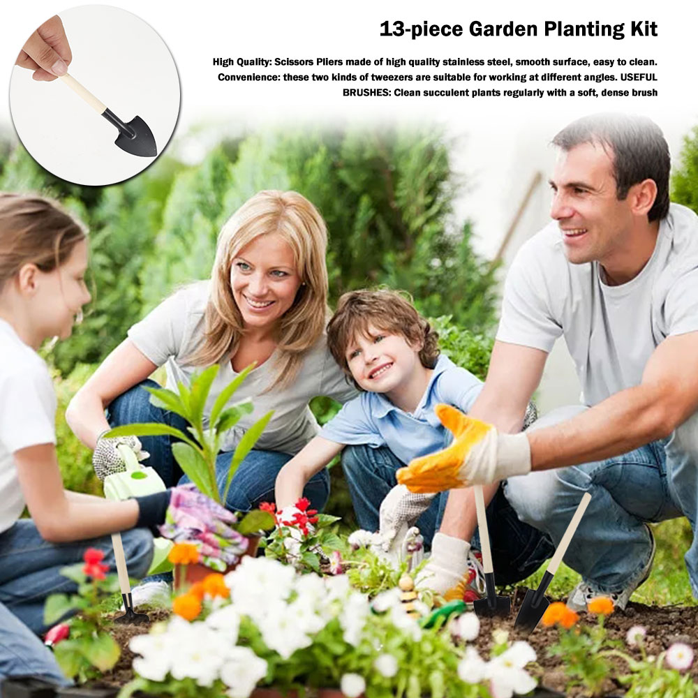 Succulent Plants Tools Mini Ga – Bonsai Tool Set recenzja i cena