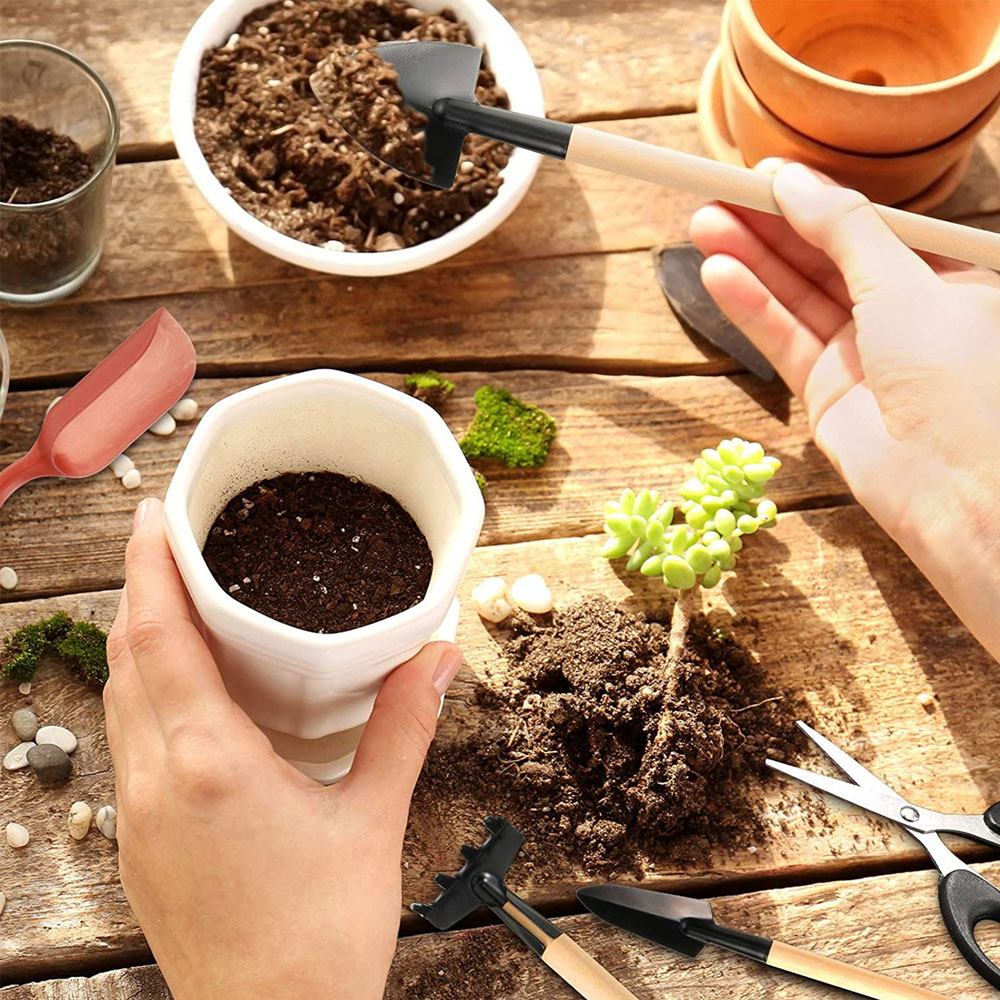 Succulent Plants Tools Mini Ga – Bonsai Tool Set recenzja i cena
