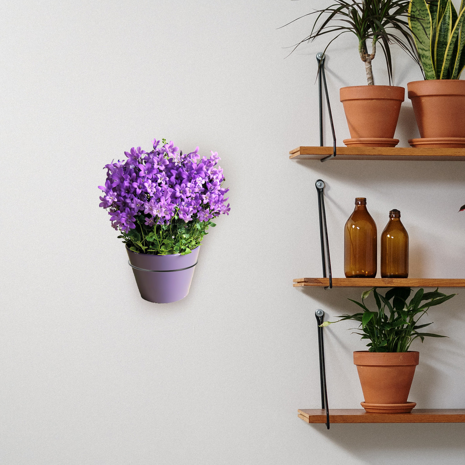 Iron Wall-Mounted Flowerpot Ra – Bonsai Gardener recenzja i cena